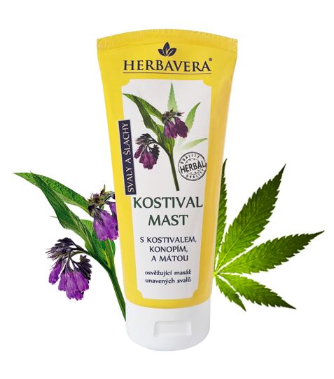 Beinwellsalbe mit Hanf und Minze 200 ml